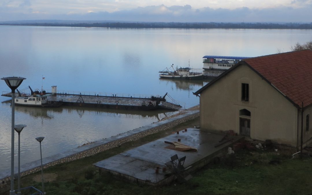 The role of fishery and aquaculture  Producer Organisations in the food supply chain