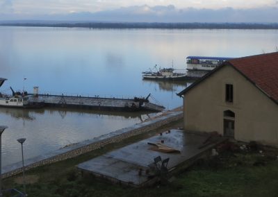 The role of fishery and aquaculture  Producer Organisations in the food supply chain