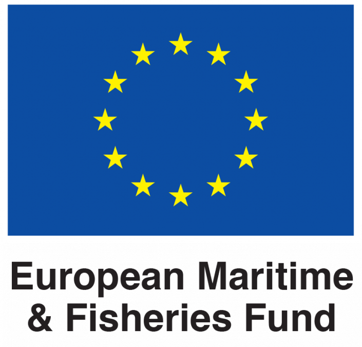 Technical Assistance for the European Maritime and Fisheries Fund 2014-2020