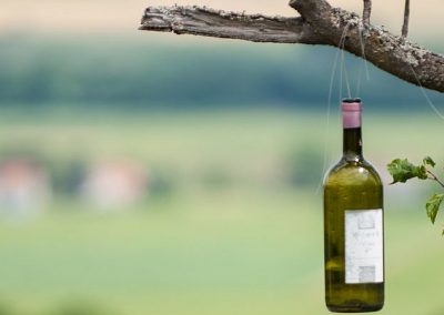 Strategic Environmental Assessment of the Interreg Programme AT-HU 2021-2027
