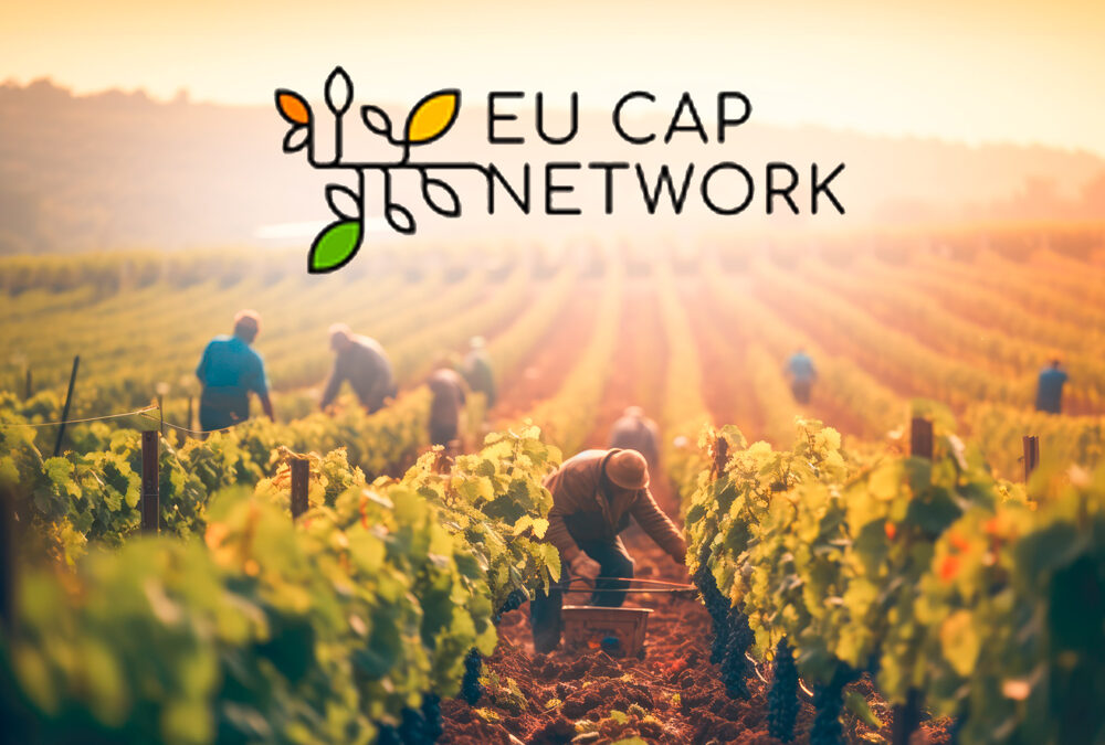 Experts of the European Evaluation Helpdesk for the CAP