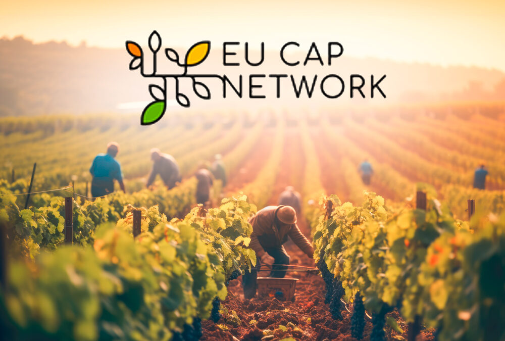 CAP, Experts of the European Evaluation Helpdesk for the CAP