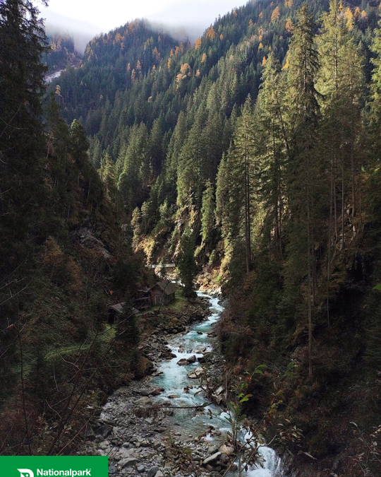 Development of the Research & Monitoring Program for Hohe Tauern National Park